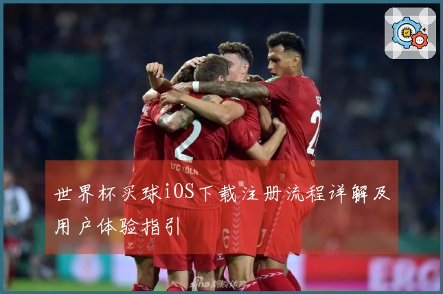 世界杯买球iOS下载注册流程详解及用户体验指引