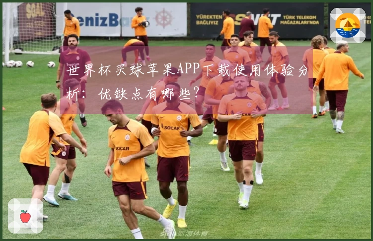 世界杯买球苹果APP下载使用体验分析：优缺点有哪些？