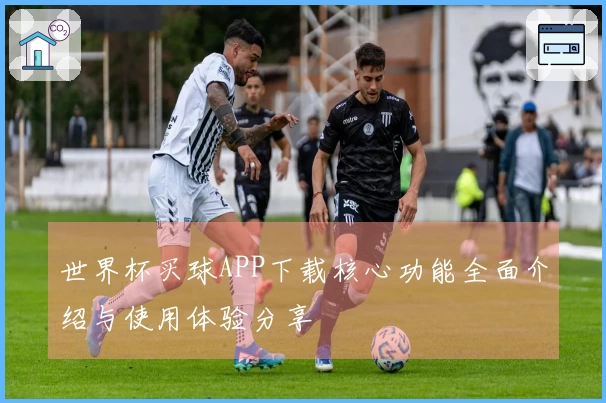 世界杯买球APP下载核心功能全面介绍与使用体验分享