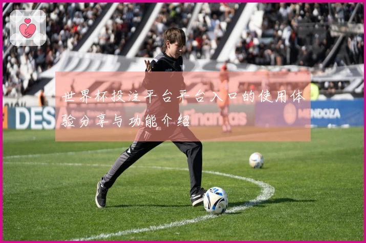 世界杯投注平台平台入口的使用体验分享与功能介绍