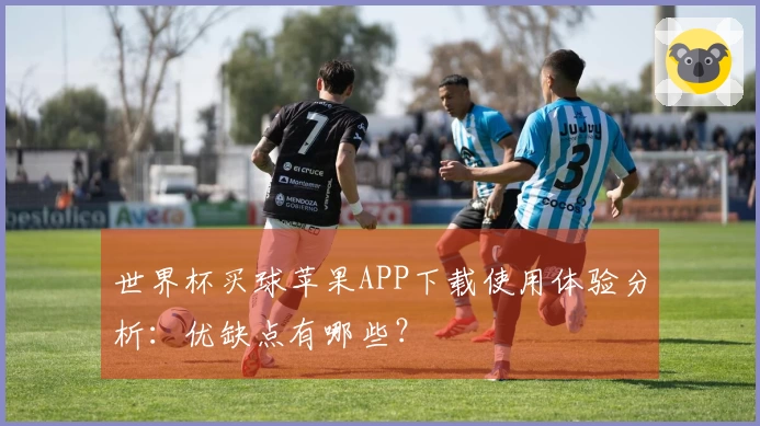 世界杯买球苹果APP下载使用体验分析：优缺点有哪些？