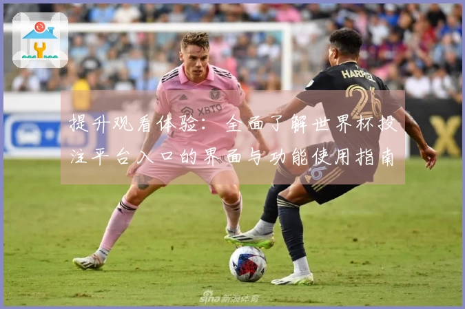 提升观看体验：全面了解世界杯投注平台入口的界面与功能使用指南