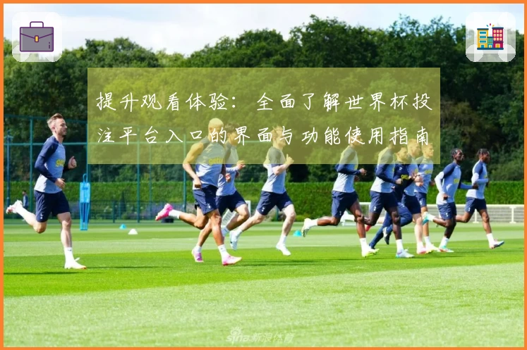 提升观看体验：全面了解世界杯投注平台入口的界面与功能使用指南
