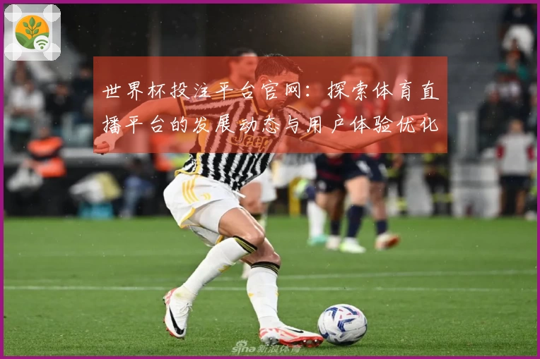世界杯投注平台官网：探索体育直播平台的发展动态与用户体验优化
